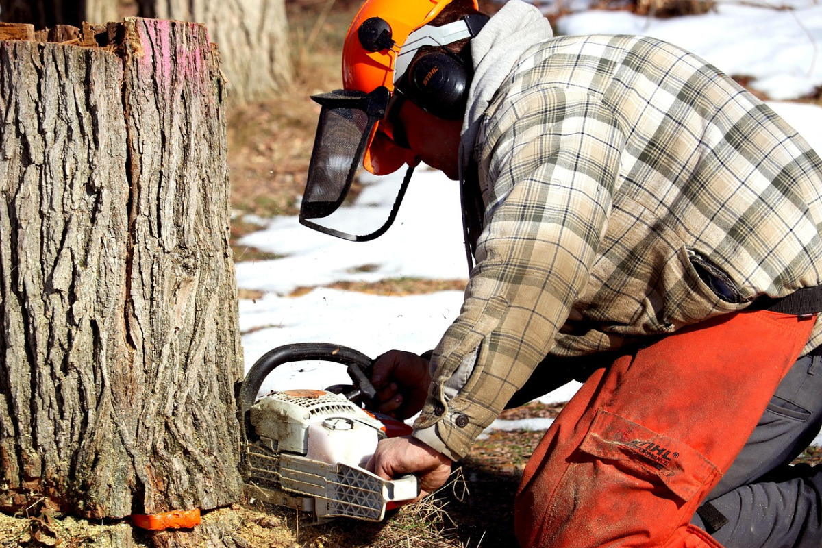 chainsaw tree removal worker landscaping
